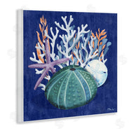 Paul Brent | Monterey Urchin and Coral