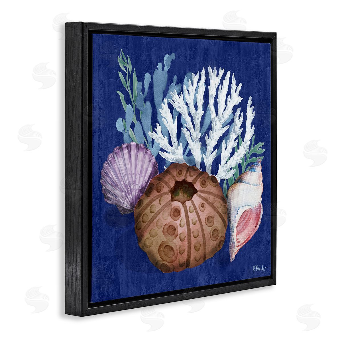 Urchin and Coral Still Life Black Floating Frame Canvas Wall Art, Home Decor by Paul Brent