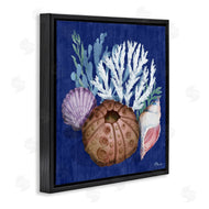 Paul Brent | Urchin and Coral Still Life