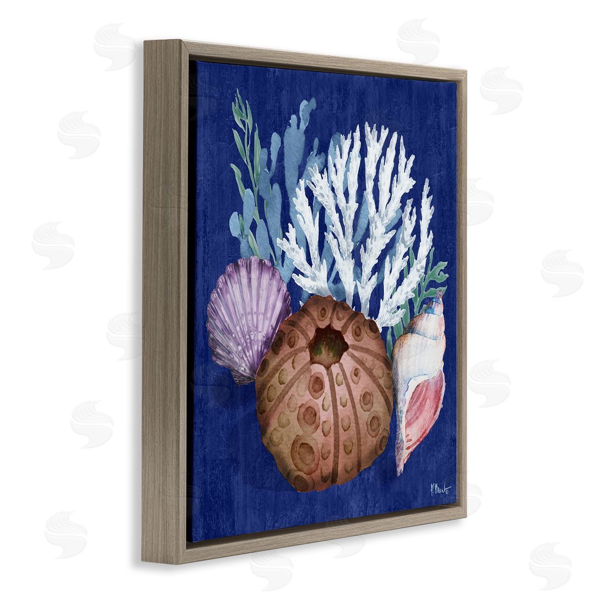 Urchin and Coral Still Life Brown Floating Frame Canvas Wall Art, Home Decor by Paul Brent