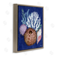 Paul Brent | Urchin and Coral Still Life