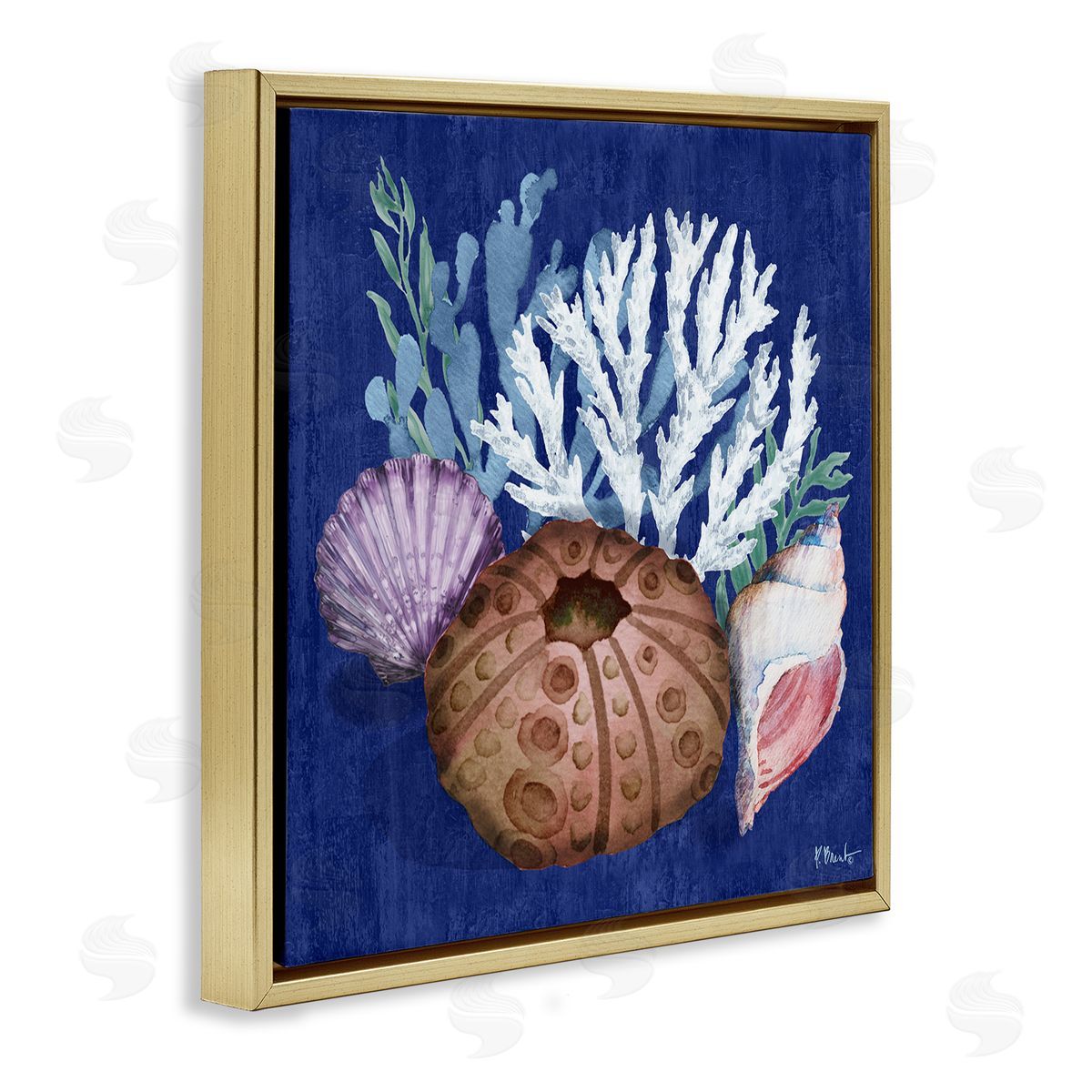 Urchin and Coral Still Life Gold Floating Frame Canvas Wall Art, Home Decor by Paul Brent