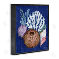 Paul Brent | Urchin and Coral Still Life