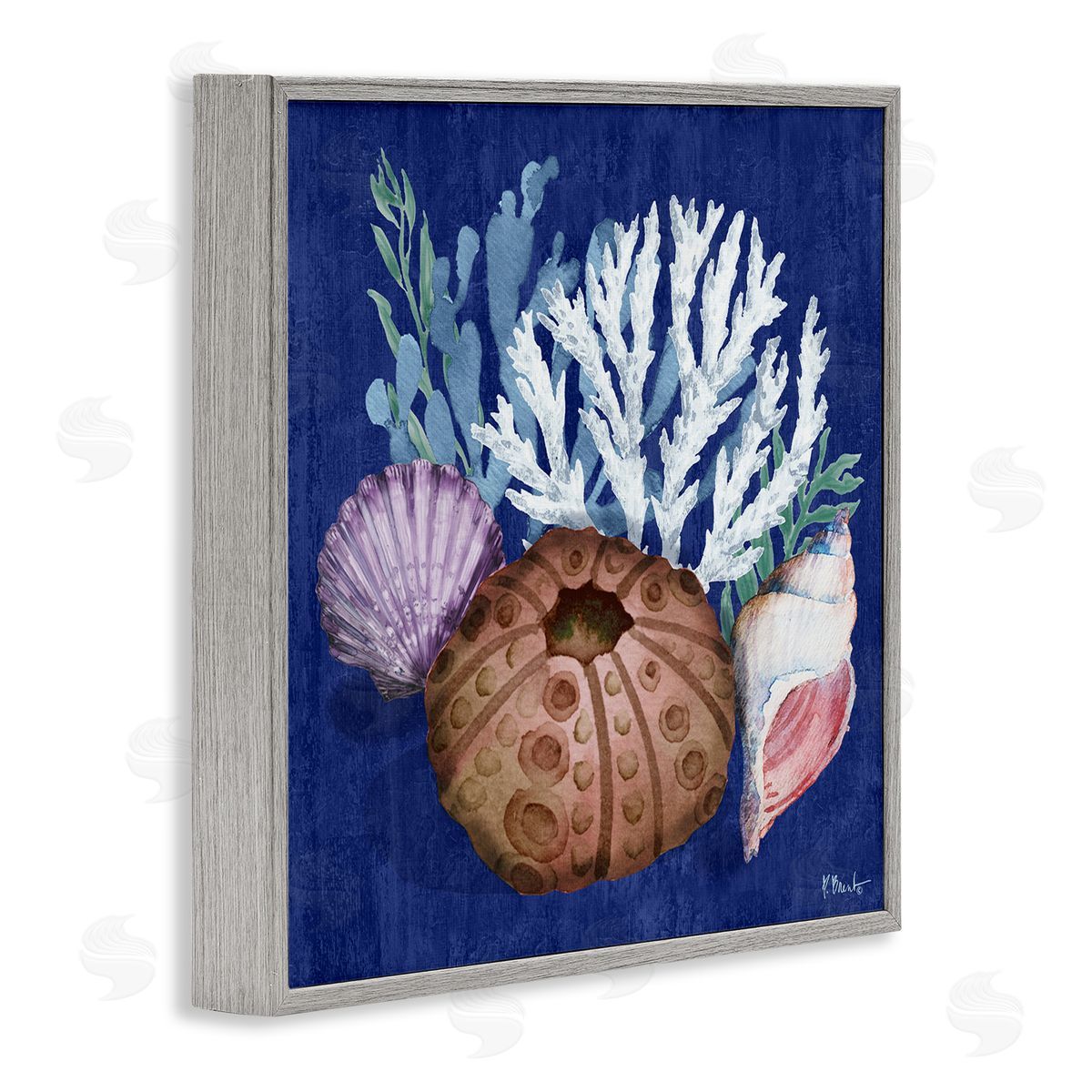 Urchin and Coral Still Life Grey Frame Print Wall Art, Home Decor by Paul Brent