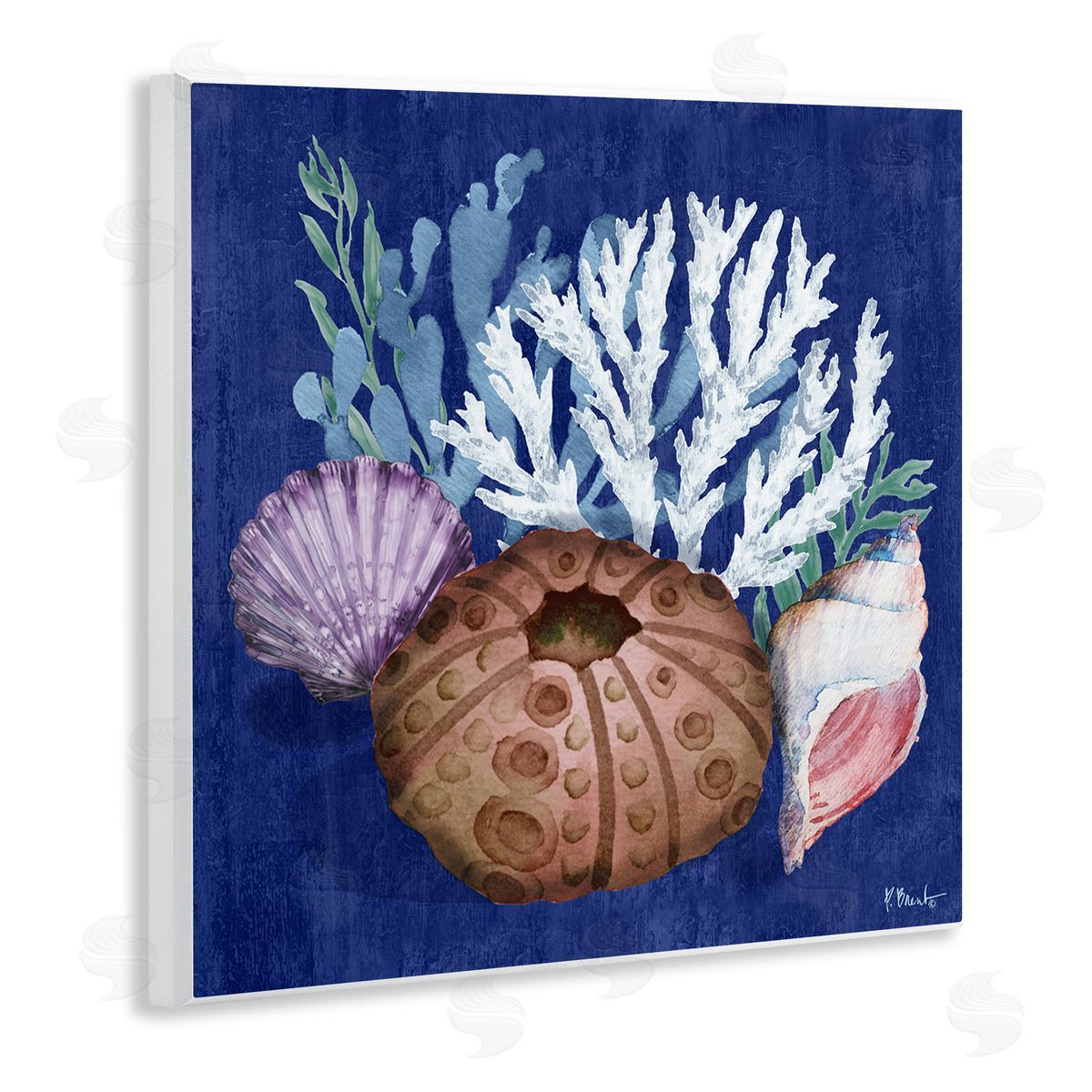 Urchin and Coral Still Life Wood Plaque Wall Art, Home Decor by Paul Brent