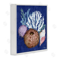 Paul Brent | Urchin and Coral Still Life