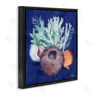 Paul Brent | Urchin Sea Life