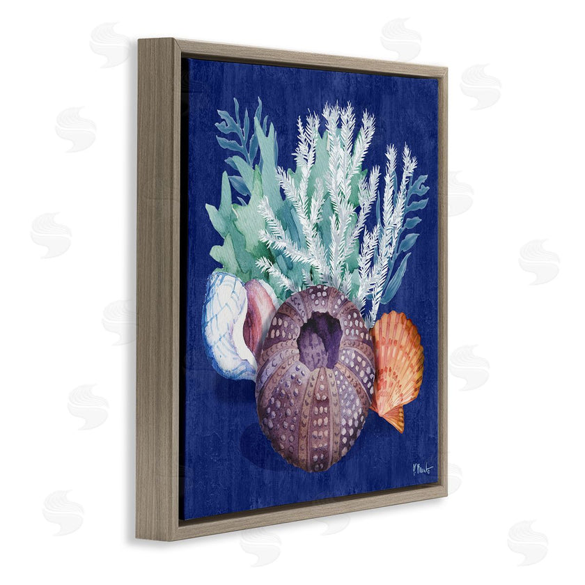 Paul Brent | Urchin Sea Life
