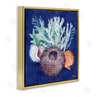 Paul Brent | Urchin Sea Life