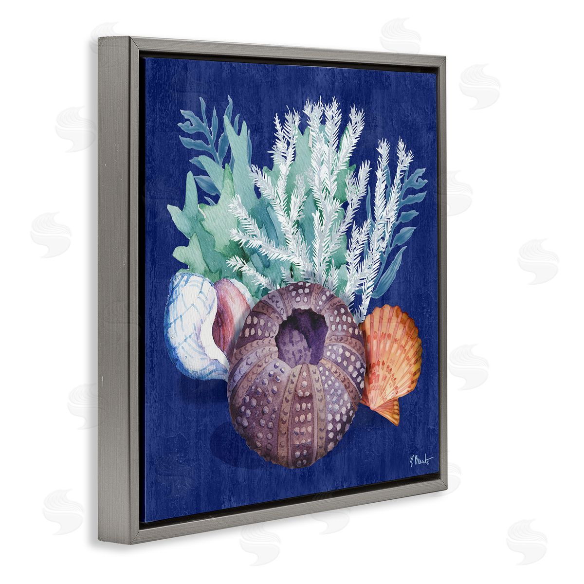 Urchin Sea Life Grey Floating Frame Canvas Wall Art, Home Decor by Paul Brent