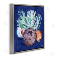 Paul Brent | Urchin Sea Life