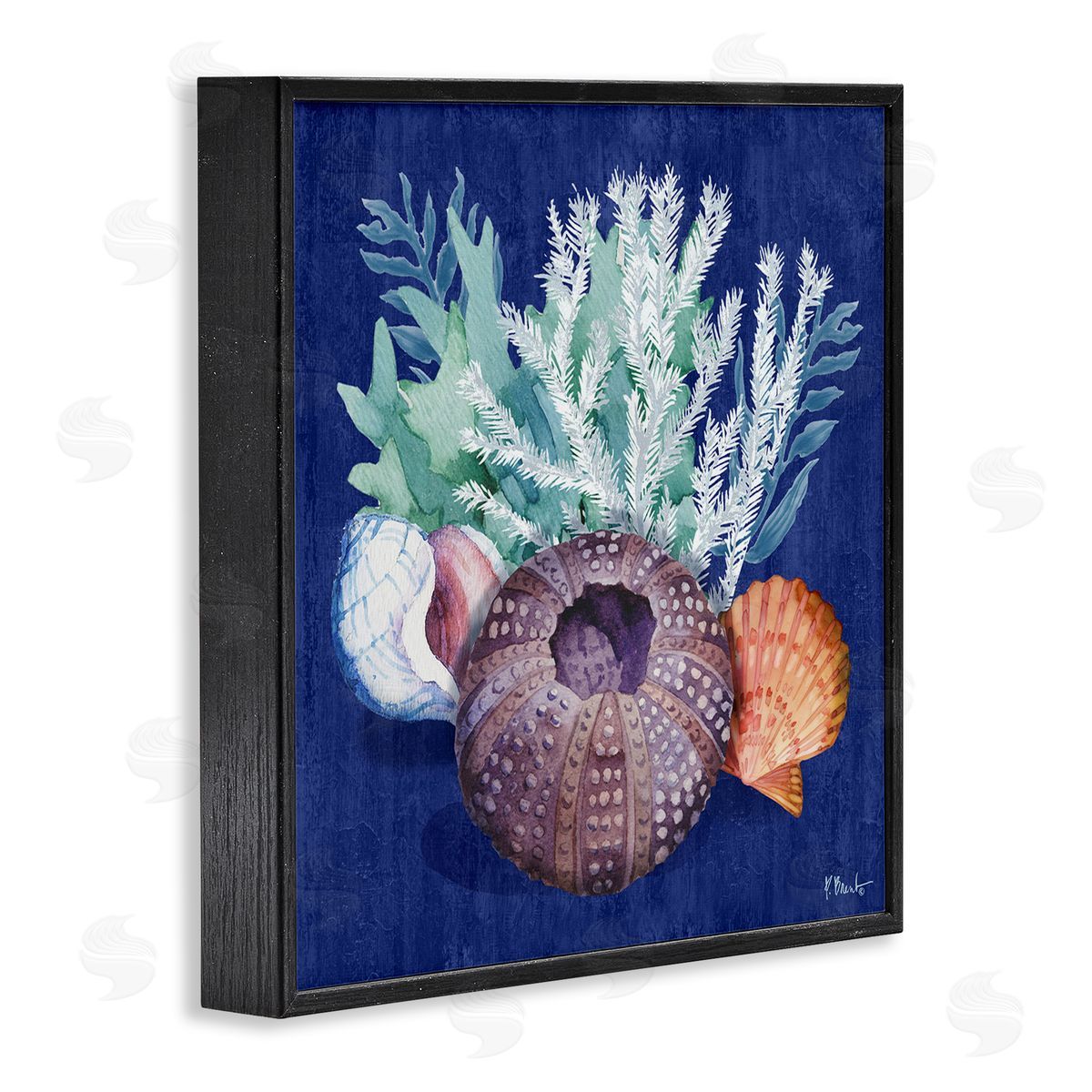 Urchin Sea Life Black Frame Print Wall Art, Home Decor by Paul Brent