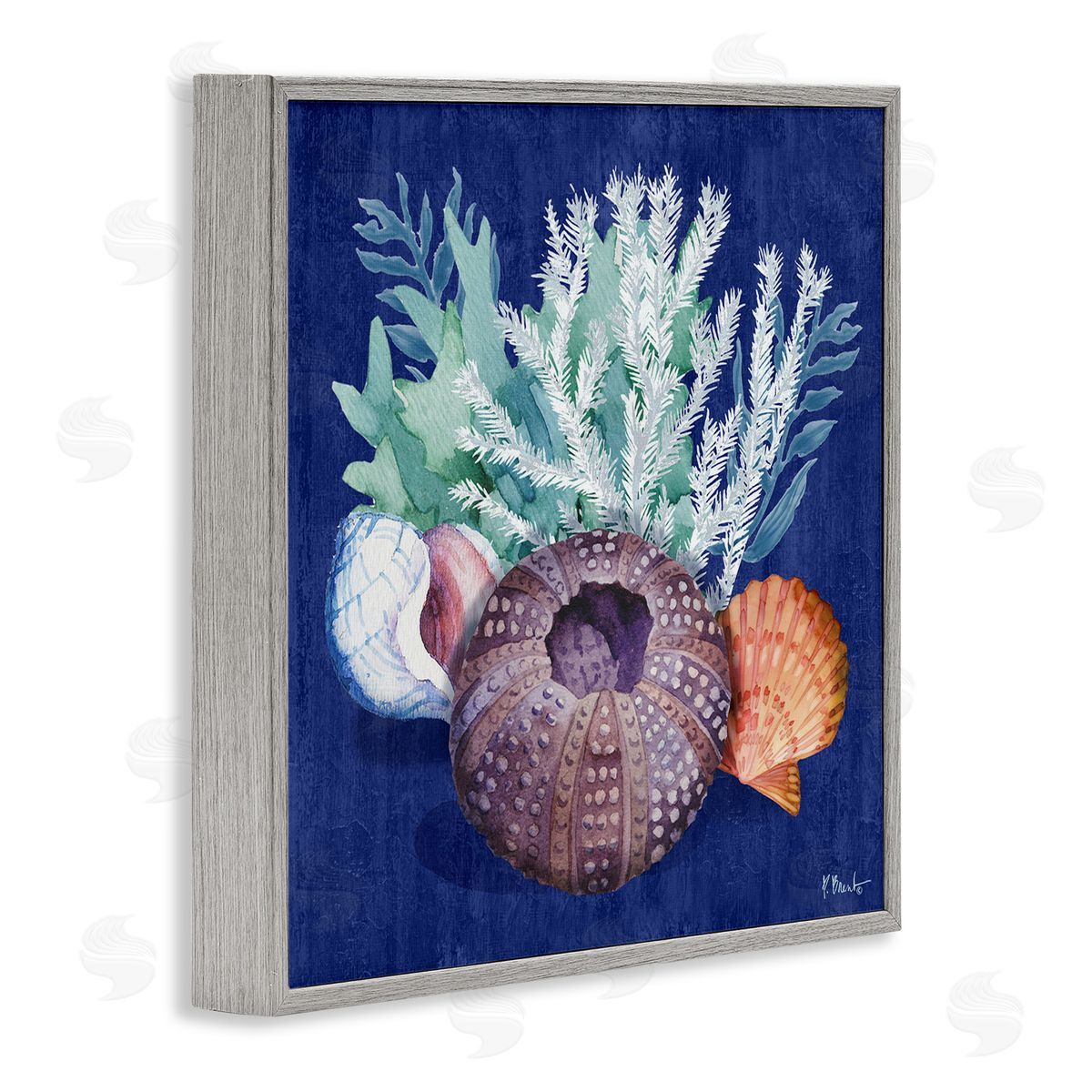 Urchin Sea Life Grey Frame Print Wall Art, Home Decor by Paul Brent