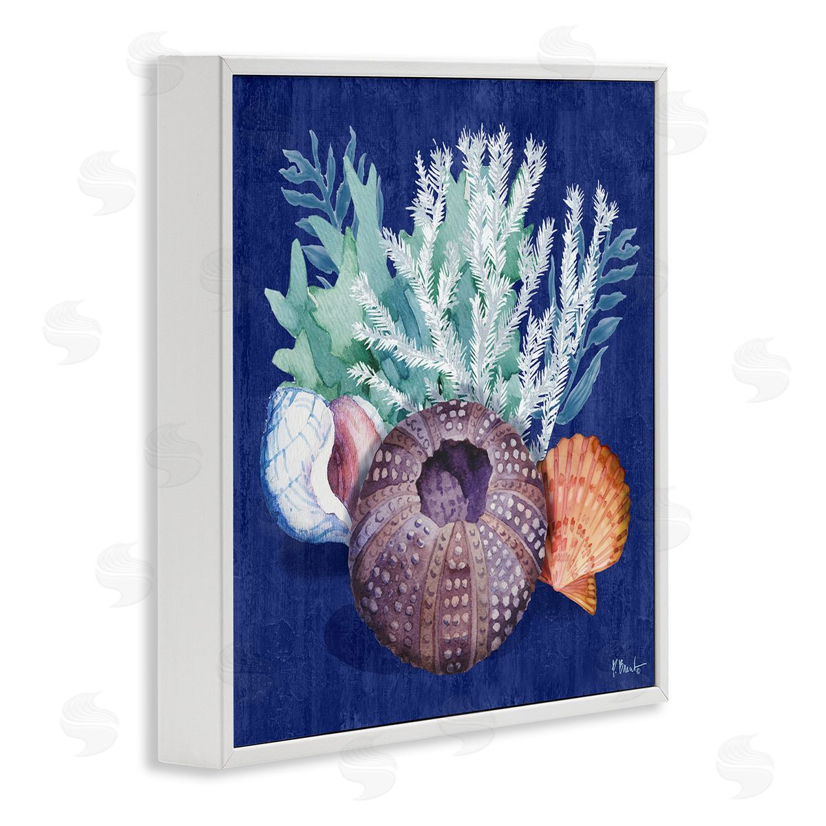 Urchin Sea Life White Frame Print Wall Art, Home Decor by Paul Brent