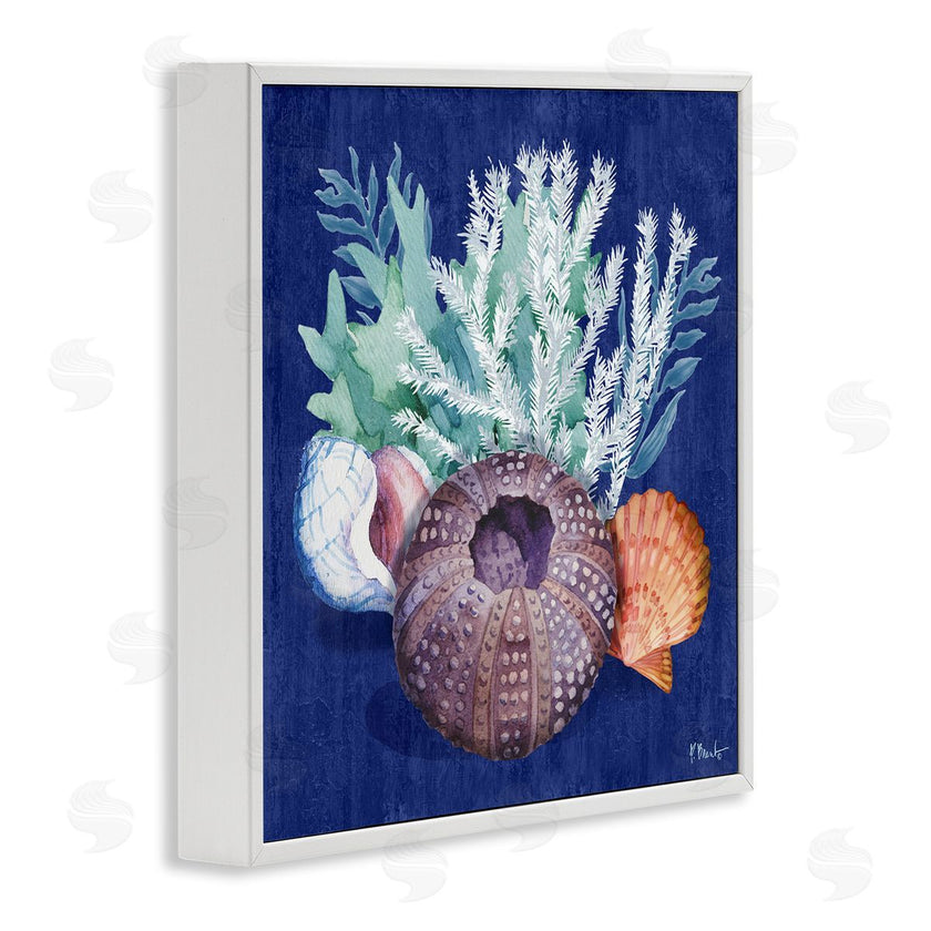 Paul Brent | Urchin Sea Life