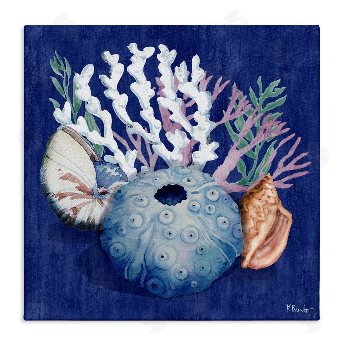 Sea Urchin and Coral Canvas Wall Art, Home Decor by Paul Brent