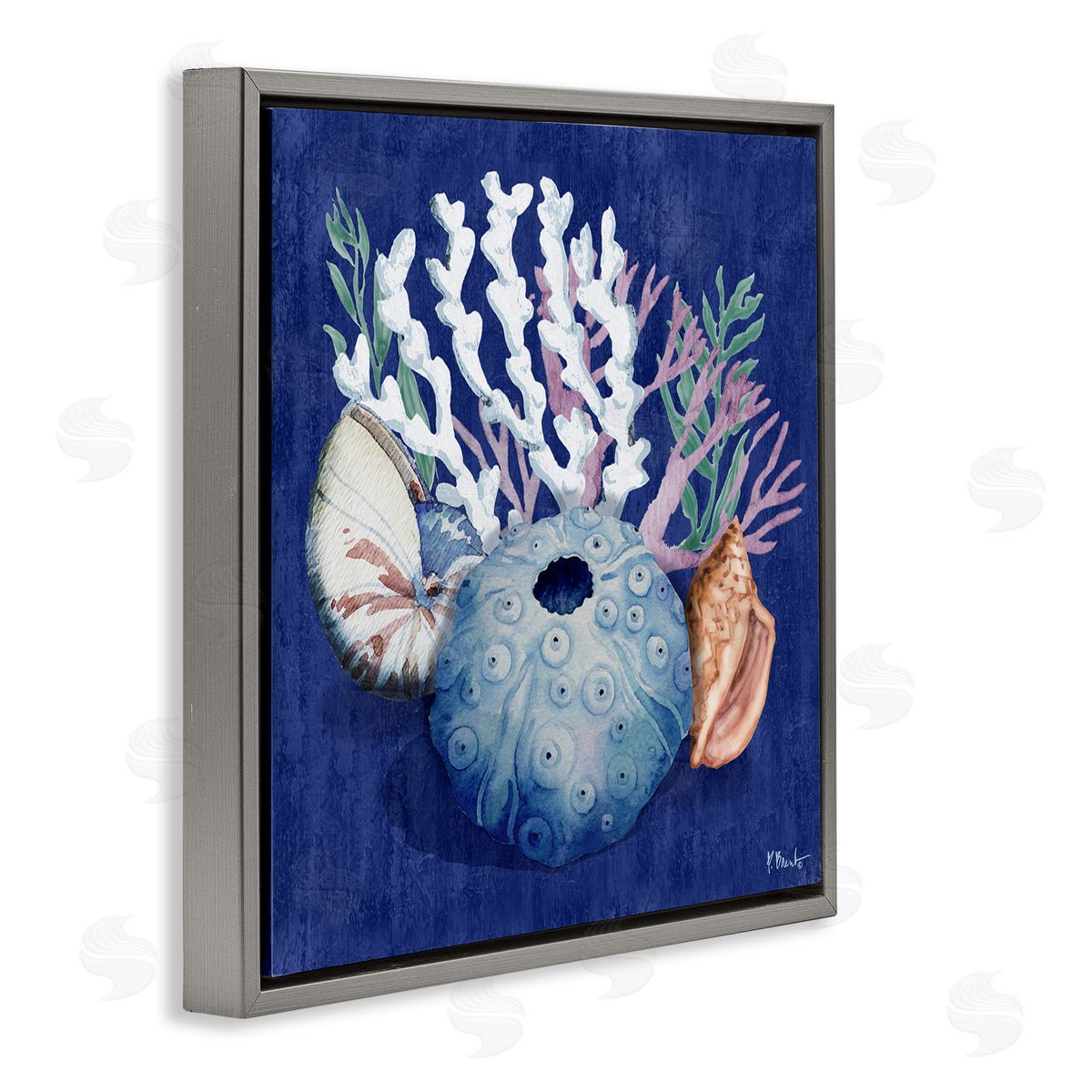Sea Urchin and Coral Grey Floating Frame Canvas Wall Art, Home Decor by Paul Brent