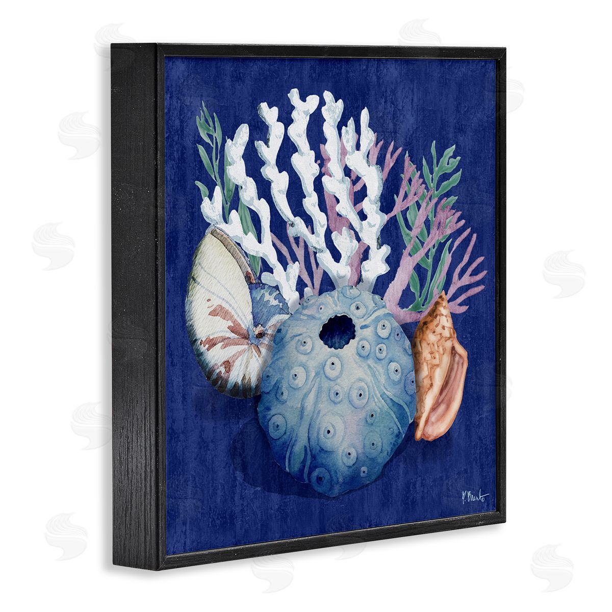 Sea Urchin and Coral Black Frame Print Wall Art, Home Decor by Paul Brent