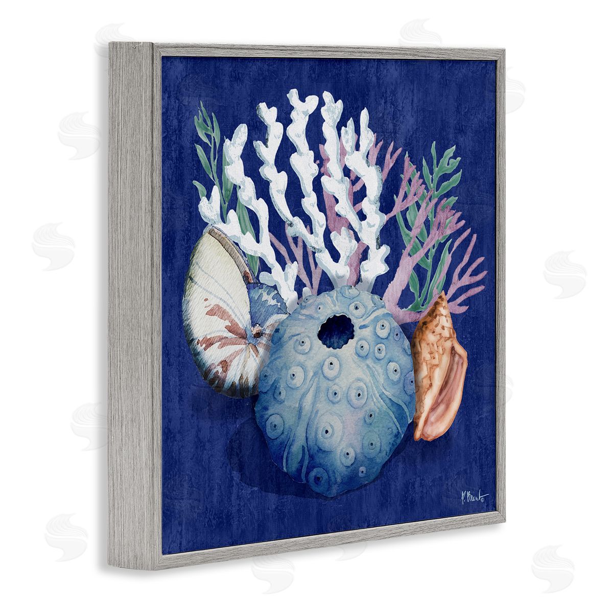 Sea Urchin and Coral Grey Frame Print Wall Art, Home Decor by Paul Brent