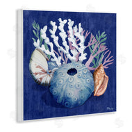Paul Brent | Sea Urchin and Coral