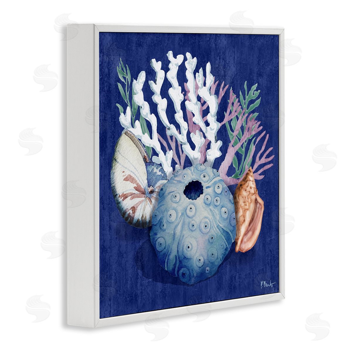 Sea Urchin and Coral White Frame Print Wall Art, Home Decor by Paul Brent