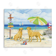 Paul Brent | Dog Beach Day