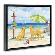 Paul Brent | Dog Beach Day
