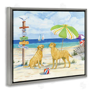 Paul Brent | Dog Beach Day