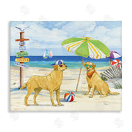Paul Brent | Dog Day At Beach