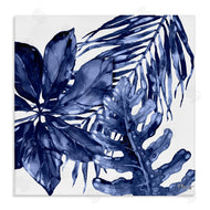 Paul Brent | Blue Hued Plant Leaves