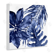 Paul Brent | Blue Hued Plant Leaves