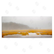 Brooke T. Ryan | Flooded Marshland Landscape