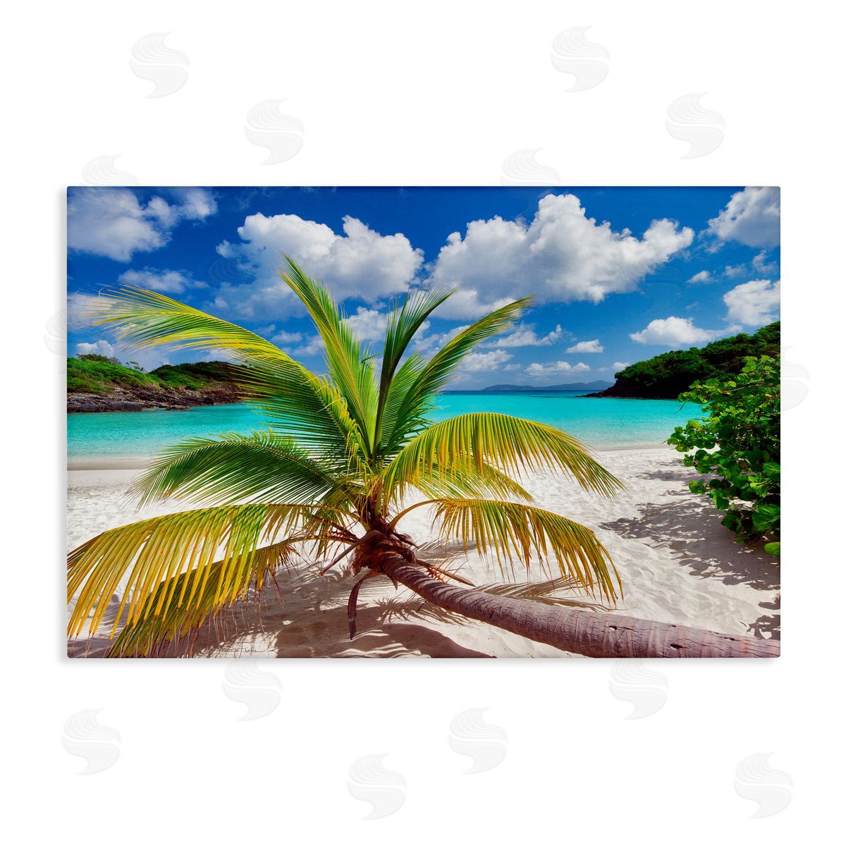 Palm Tree Across Beach Canvas Wall Art, Home Decor by Dennis Frates