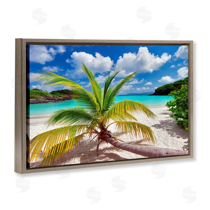 Dennis Frates | Palm Tree Across Beach