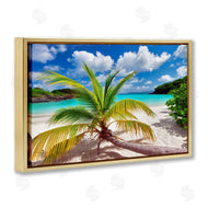 Dennis Frates | Palm Tree Across Beach