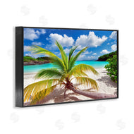 Dennis Frates | Palm Tree Across Beach
