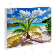 Dennis Frates | Palm Tree Across Beach