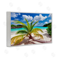 Dennis Frates | Palm Tree Across Beach