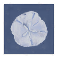 Julie Derice | Blue Nova Sand Dollar