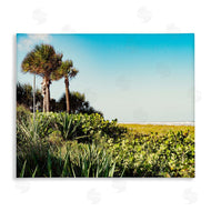 Stede Bonnett | Lush Tropical Shoreline