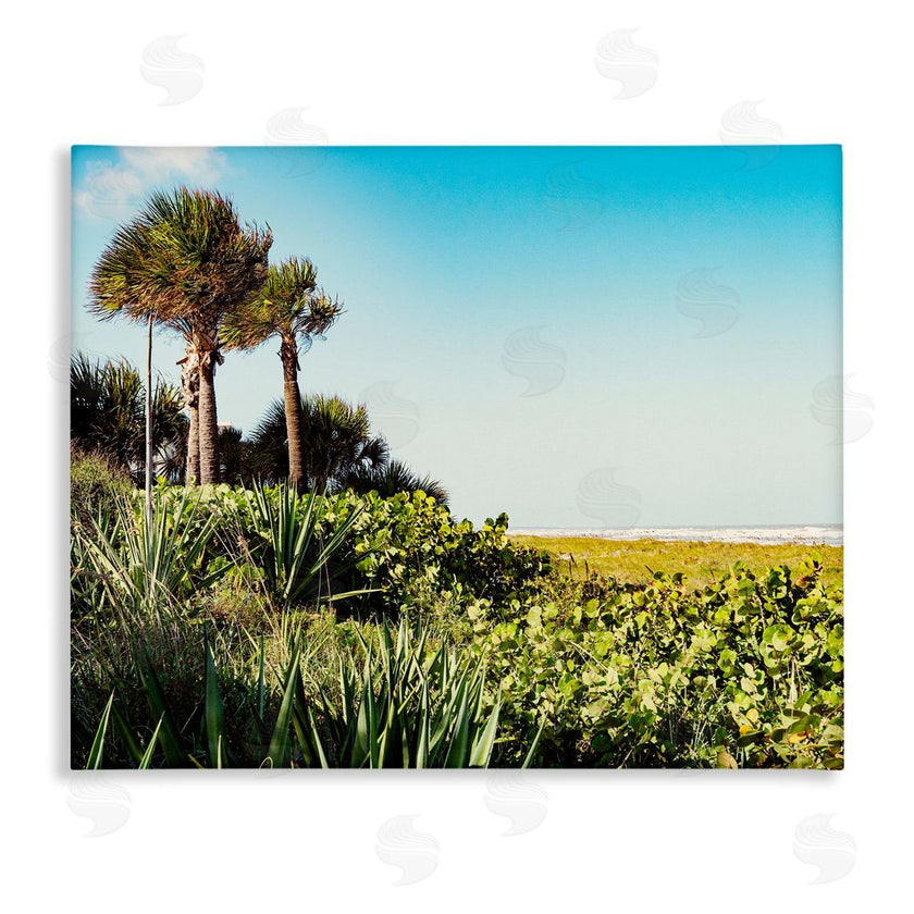 Stede Bonnett | Lush Tropical Shoreline