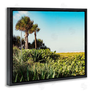 Stede Bonnett | Lush Tropical Shoreline