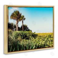 Stede Bonnett | Lush Tropical Shoreline