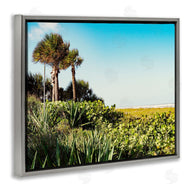 Stede Bonnett | Lush Tropical Shoreline