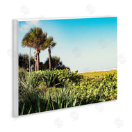 Stede Bonnett | Lush Tropical Shoreline