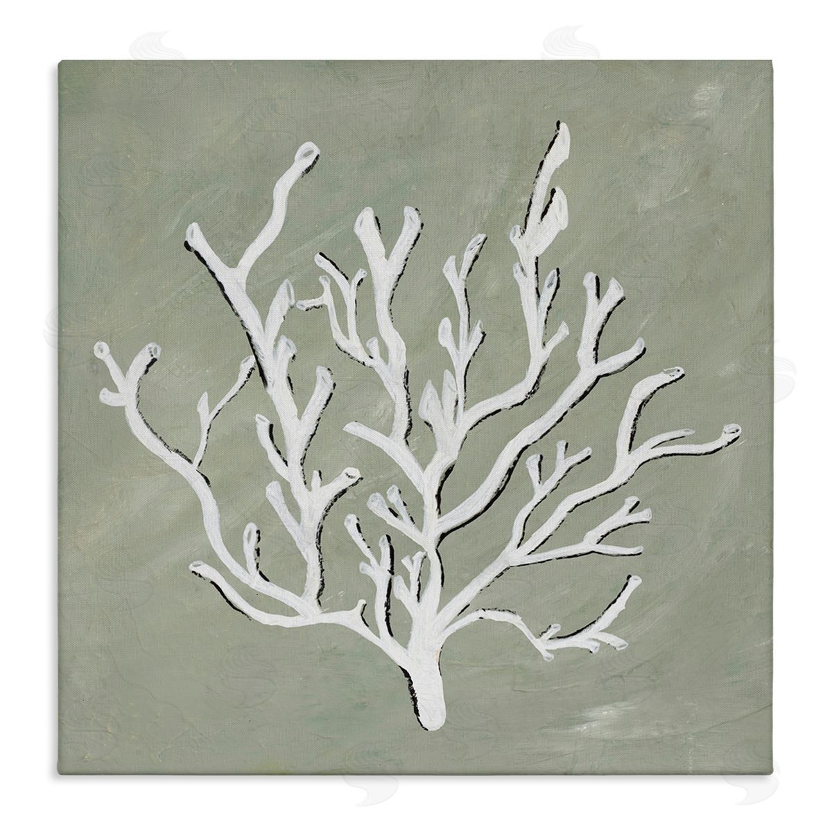 White Coral Impression Canvas Wall Art, Home Decor by Nola James