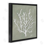 Nola James | White Coral Impression