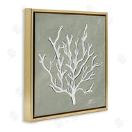 Nola James | White Coral Impression