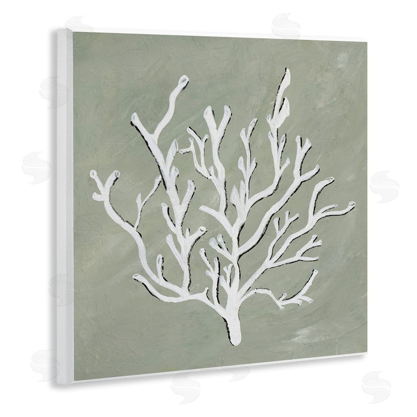 Nola James | White Coral Impression