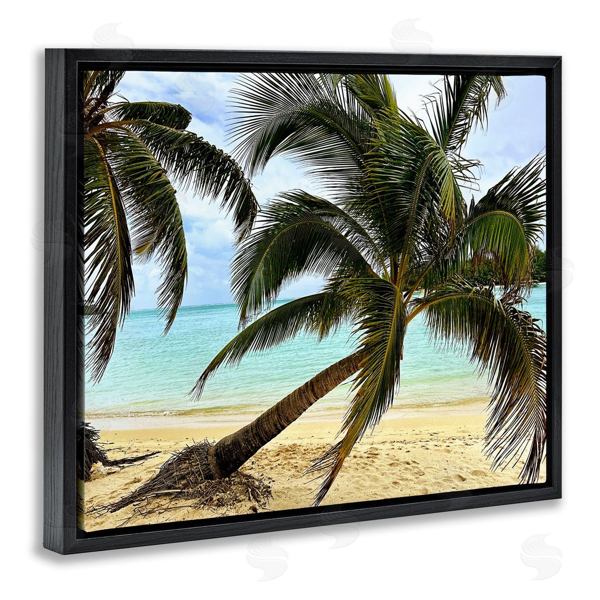 Leaning Palms on Beach Black Floating Frame Canvas Wall Art, Home Decor by Kali Wilson